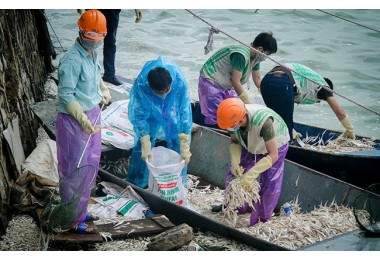 Đề xuất dẫn nước sông Hồng 