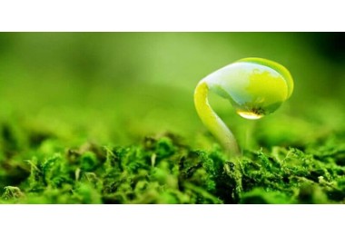 Nghị định 113/2017/NĐ-CP