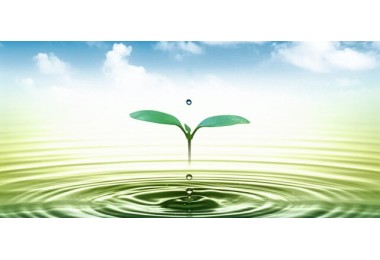 Nghị định số 201/2013/NĐ-CP của Chính phủ : Quy định chi tiết thi hành một số điều của Luật tài nguy