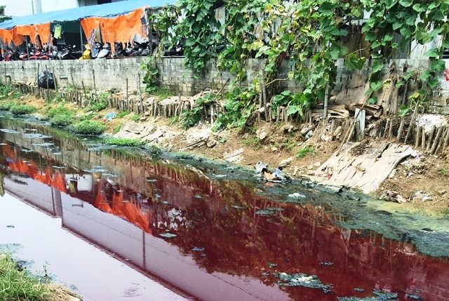 môi trường 